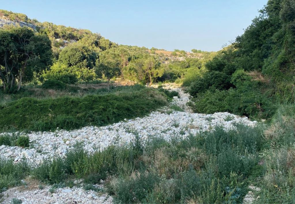 country_sicily_palombieri_resort